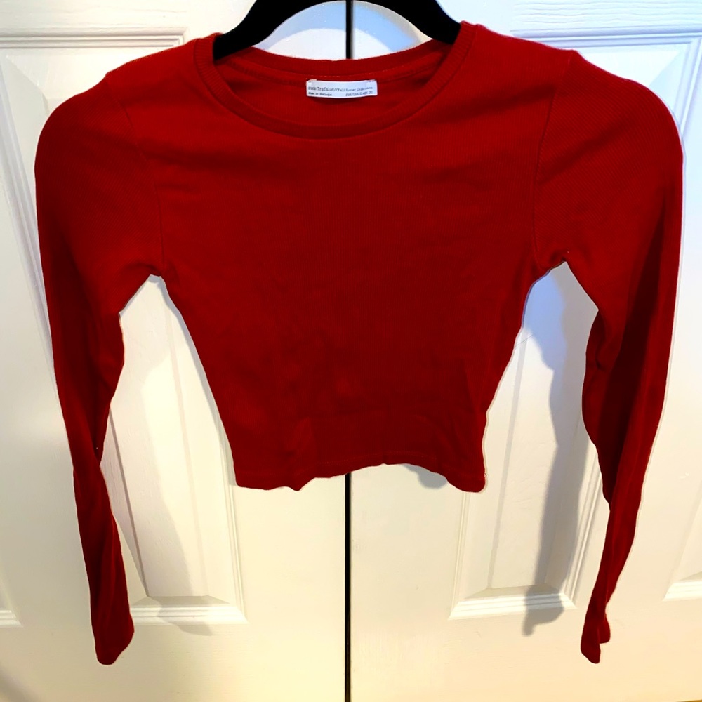Zara Trafaluc Fall/Winter Collection long sleeve crop top